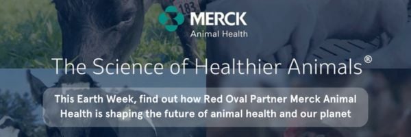 Email Merck graphic ad