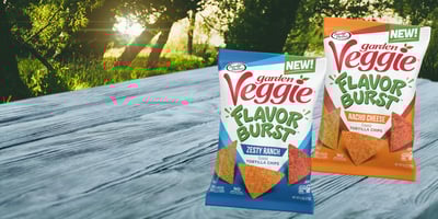 GARDEN VEGGIE TORTILLA CHIPS 1200