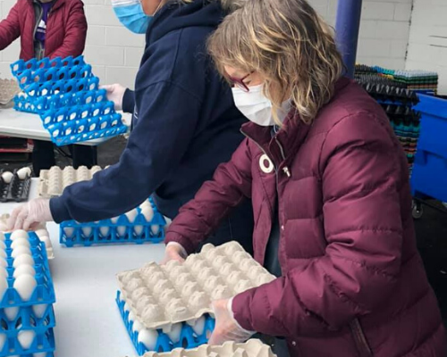 Dutch Farms and Food Bank of Northwestern Indiana 