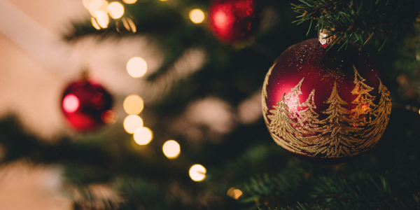Holiday Reflection