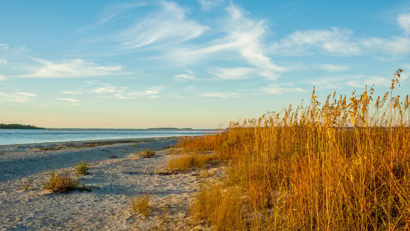 edisto