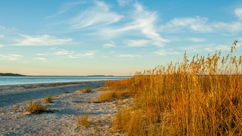 edisto