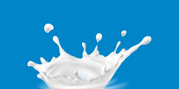 splash of milk on blue background