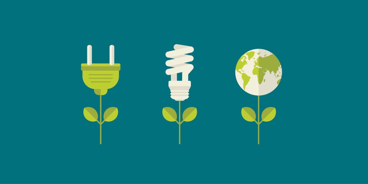 electric plug, light bulb, and earth illustrations emerge from plant stems