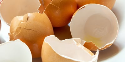 broken eggs