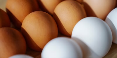 Brown and white eggs 