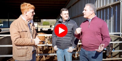 IGA and Merck Animal Health Interview