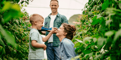 family picking fruit