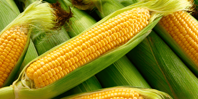 sweet corn