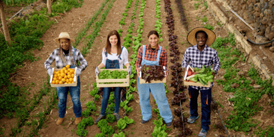 Organic Retailer Toolkit image
