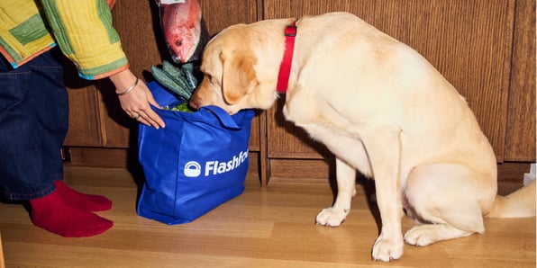 Flashfood bag of food being sniffed by Yellow Labrador Retriever, a very good boy