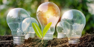 lightbulbs growing out of Earth