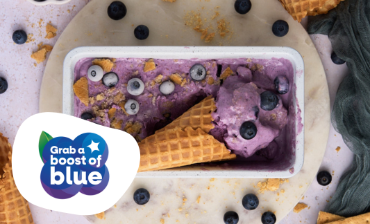 Blueberry Cheesecake Cottage Cheese Ice Cream